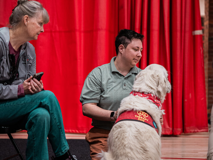 Golden Retriever dog and handlers from Domesti-Pups organization