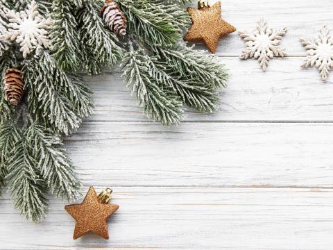 Pine Tree Sugar Cookies, Snowflakes Holiday Scene 
